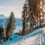 Skisport for nybegyndere: En guide til at komme i gang på ski